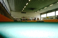 Clicca sulla foto per vedere ingrandimento